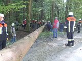 Maibaum_2016 (60).JPG